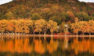关于西湖的诗词 描写西湖的古诗